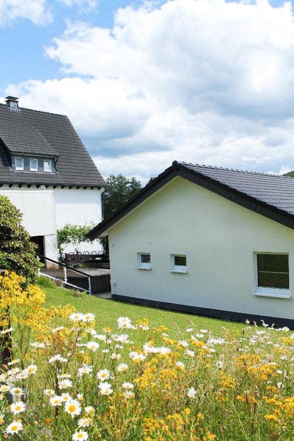Ferienhaus Pape Schmallenberg Exterior foto